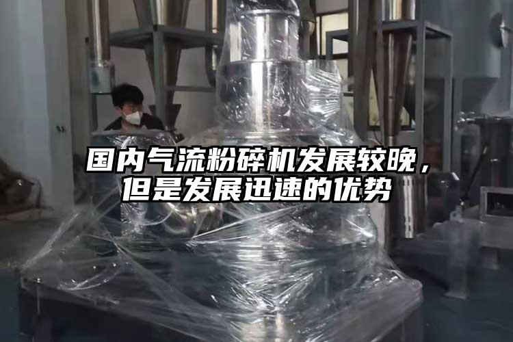 國內(nèi)氣流粉碎機(jī)發(fā)展較晚，但是發(fā)展迅速的優(yōu)勢(shì)